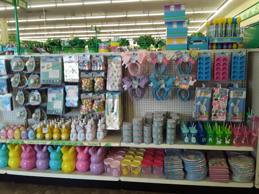Dollar Store «Dollar Tree», reviews and photos, 2241 Citrus Blvd #107, Leesburg, FL 34748, USA
