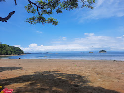 Zdjęcie Playa Pajaros z przestronna zatoka