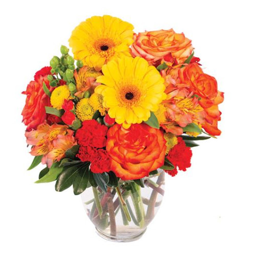 Florist «Westover Hills Florist by HFD», reviews and photos, 114 N Ellison Dr #108, San Antonio, TX 78251, USA