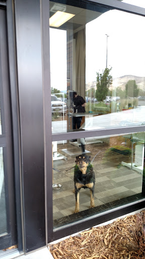 Pet Supply Store «Petco Animal Supplies», reviews and photos, 1320 E Lincoln Way p101, Sparks, NV 89434, USA