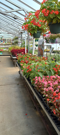 Florist «Pletschers», reviews and photos, 641 Old Hwy 8 SW, New Brighton, MN 55112, USA