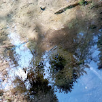 Photo n°3 de l'avis de Camere.o fait le 01/09/2022 à 16:44 sur le  AURINE SKI DOLOMITI GHEGY RISTOBAR à Gosaldo