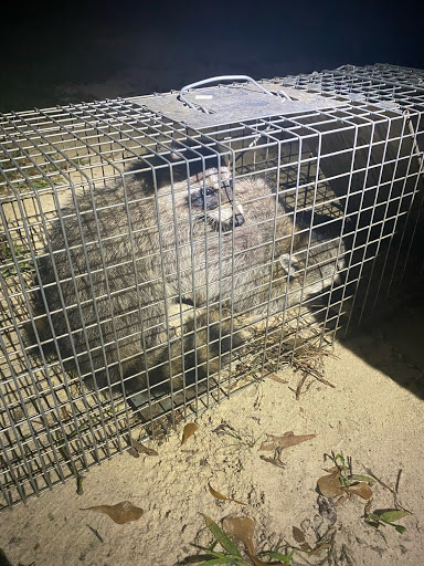 Animal Control Service «Xceptional Wildlife Removal», reviews and photos