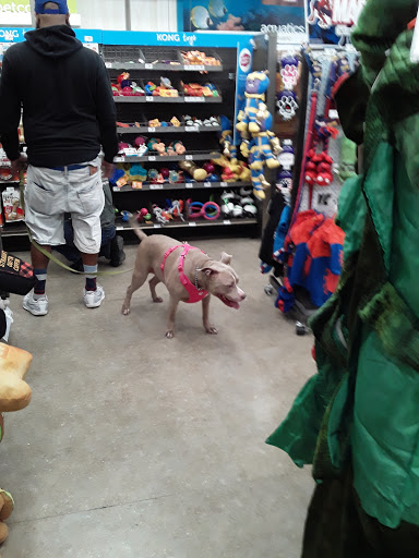 Pet Supply Store «Petco Animal Supplies», reviews and photos, 5850 Sepulveda Blvd, Van Nuys, CA 91411, USA
