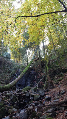 Simon Pierre (Sarl) à Deux-Grosnes