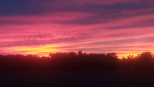 Produce Market «Stella Farms», reviews and photos, 459 Berlin New Freedom Rd, Berlin, NJ 08009, USA