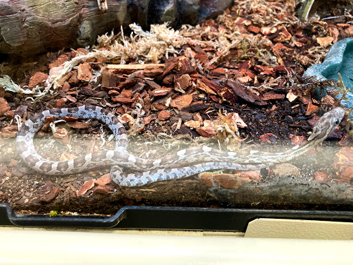 Pet Supply Store «PetSmart», reviews and photos, 400 Universal Dr N, North Haven, CT 06473, USA