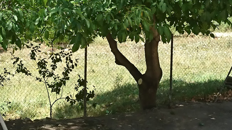 Photos du propriétaire Casa rural Cal PIPAIRE 08699 Vallcebre