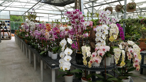 Hardware Store «Proctor Ace Hardware», reviews and photos, 1281 Atlantic Blvd, Neptune Beach, FL 32266, USA