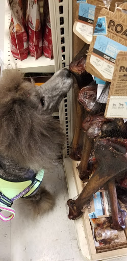 Pet Supply Store «PetSmart», reviews and photos, 2784 Wilma Rudolph Blvd, Clarksville, TN 37040, USA