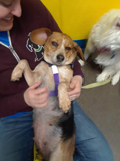 Pet Supply Store «Atlas Pet Supply», reviews and photos, 12761 Central Ave NE, Blaine, MN 55434, USA