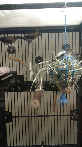 Pet Supply Store «PetSmart», reviews and photos, 901 US-1, North Brunswick Township, NJ 08902, USA