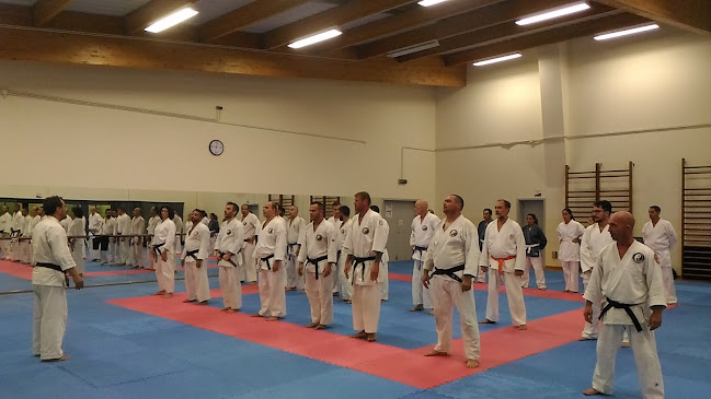 Avaliações doJujutsu Clube de Faro em Faro - Outro