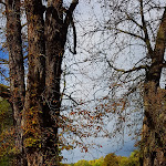 Photo n°1 de l'avis de Uwe.e fait le 03/10/2017 à 16:06 sur le  Gaststätte Alte Remise Weimar à Weimar