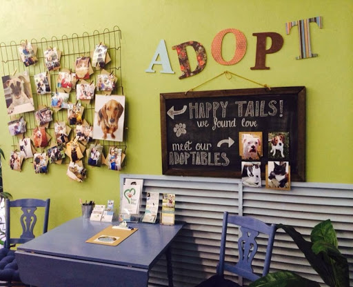 Pet Supply Store «3 Dogs and a Chick», reviews and photos, 130 Miracle Strip Pkwy SE, Fort Walton Beach, FL 32548, USA