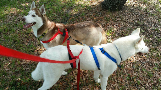 Pet Supply Store «PetSmart», reviews and photos, 1540 N Dale Mabry Hwy, Tampa, FL 33607, USA