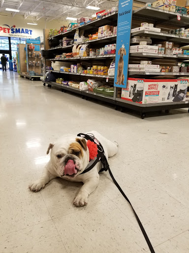 Pet Supply Store «PetSmart», reviews and photos, 30 Malphrus Rd, Bluffton, SC 29910, USA