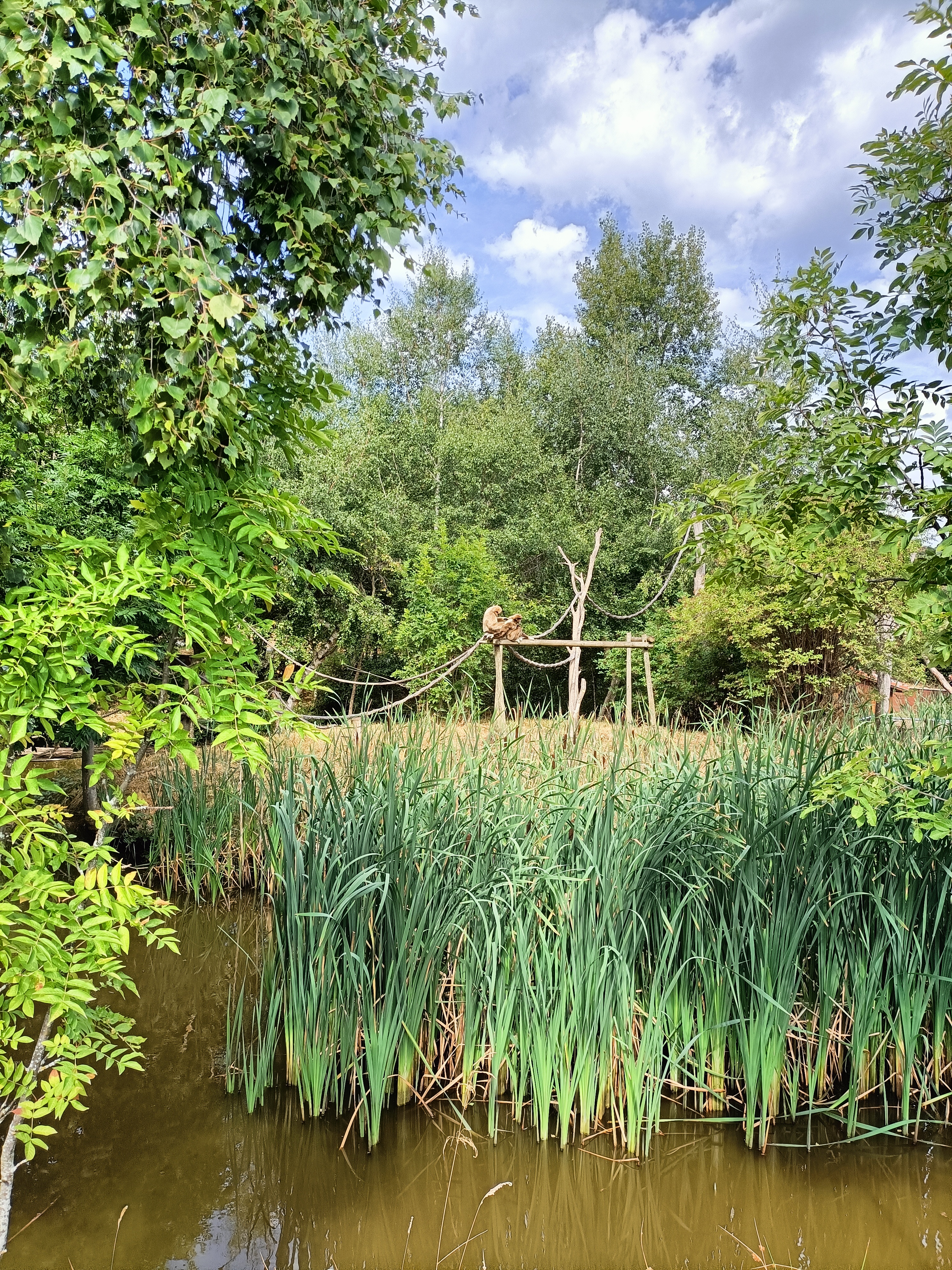 Photo n° 3 de l'avis de Julie.r fait le 16/08/2023 à 13:47