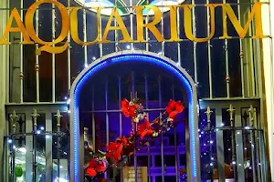 Fontanemarine Aquarium image