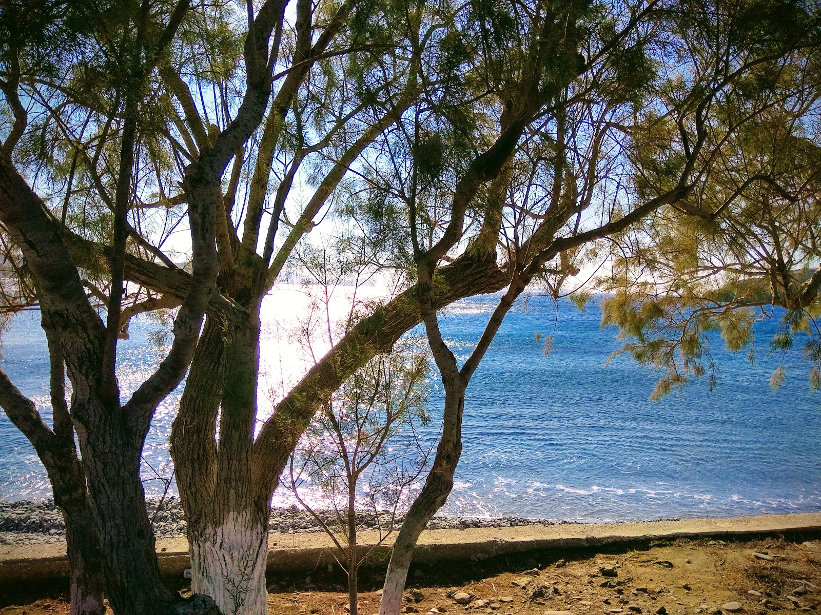 Foto von Astypalaia beach mit geräumige bucht