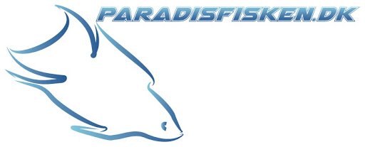 Paradisfisken in Randers, Randers