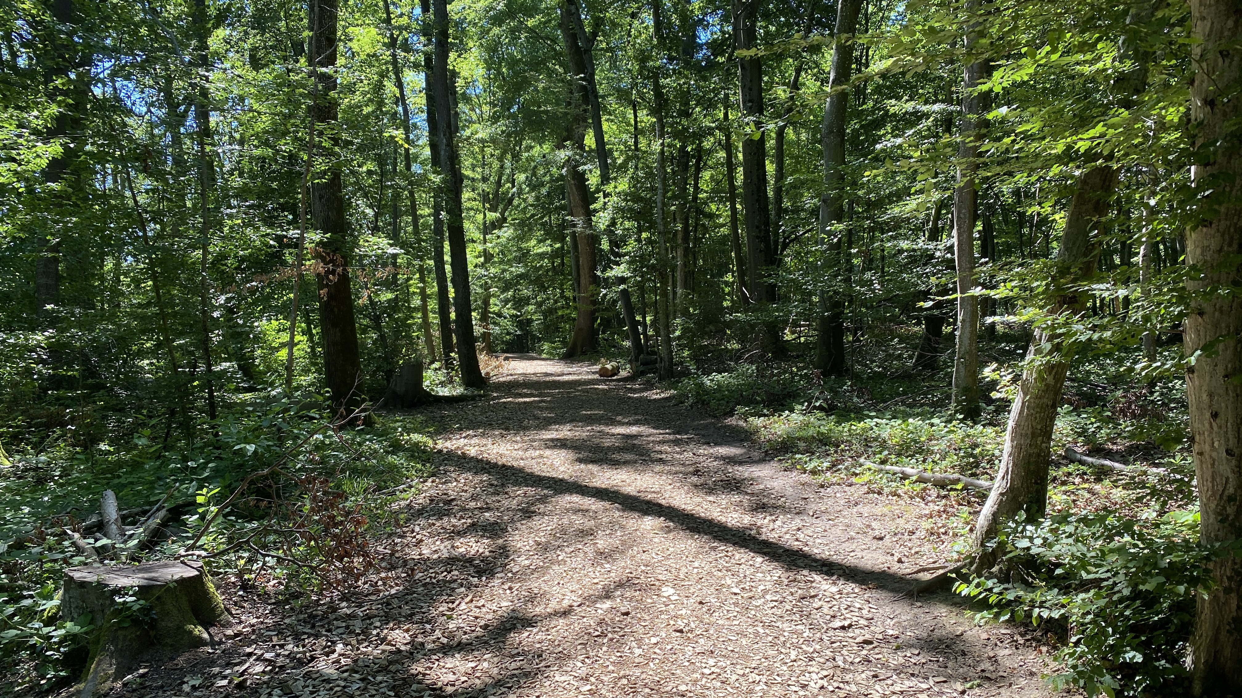 Photo n° 5 de l'avis de Frédéric.e fait le 05/10/2021 à 10:22