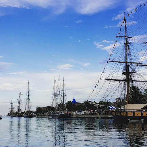 Nature Preserve «Kenosha Sand Dunes», reviews and photos, 7th Ave, Pleasant Prairie, WI 53158, USA