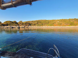 Photo de Akvaryum Bodrum zone sauvage