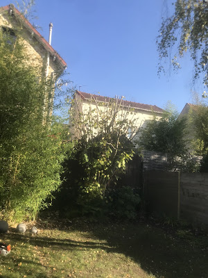 Elagueur Devis Gratuit 24H.Mr Capelle à Herblay-sur-Seine