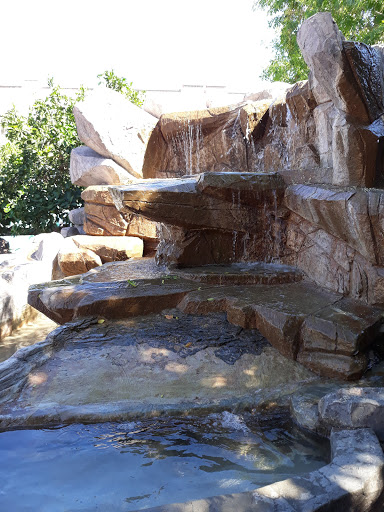 Tourist Attraction «Arizona Museum of Natural History», reviews and photos, 53 N Macdonald, Mesa, AZ 85201, USA