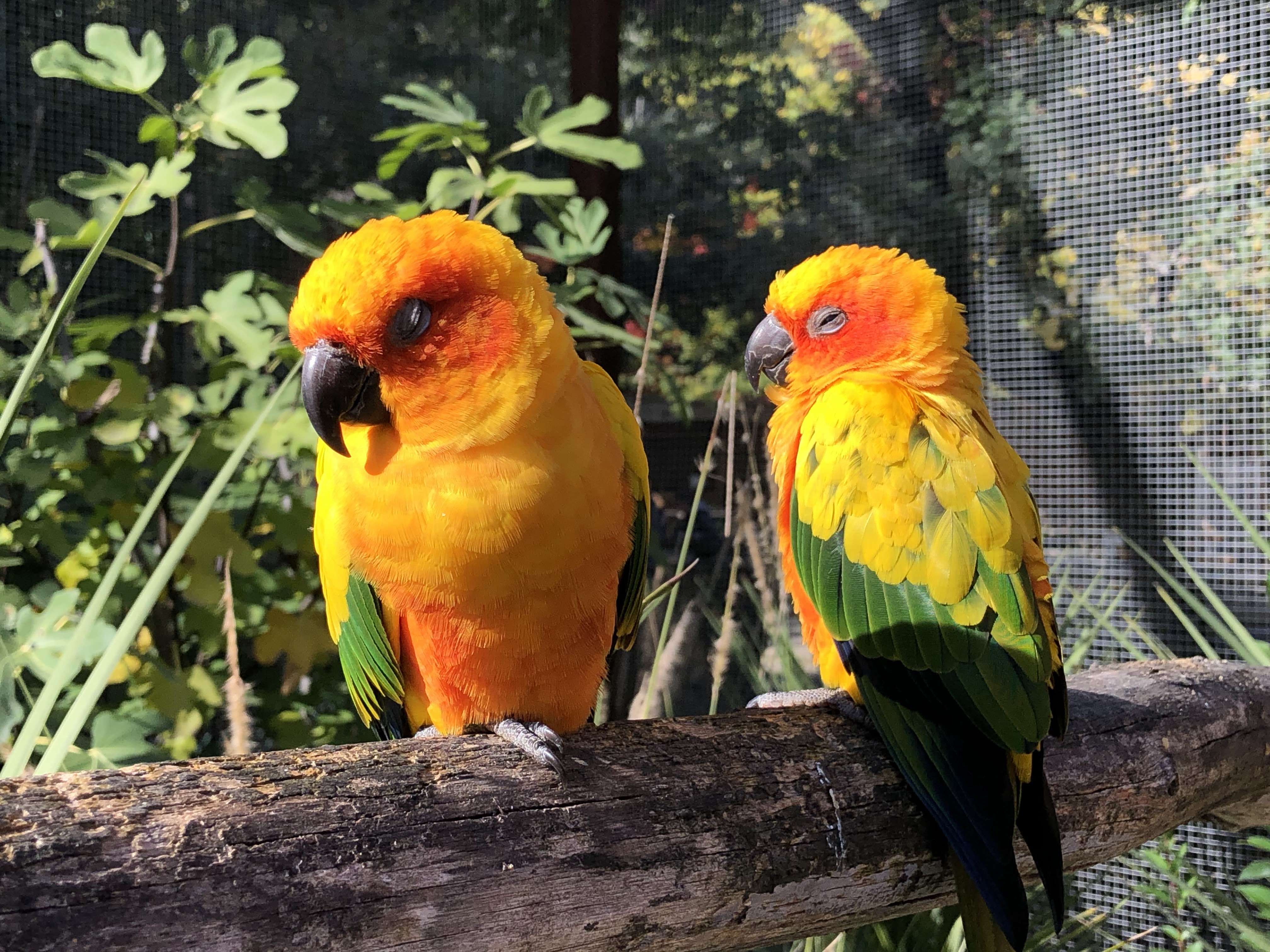 Photo n° 6 de l'avis de Olivier.a fait le 07/11/2018 à 06:49