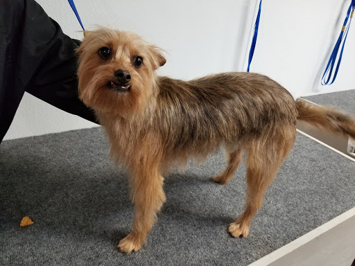 Pet Groomer «U Dirty Dog», reviews and photos, 232 Stevens Entry, Peachtree City, GA 30269, USA