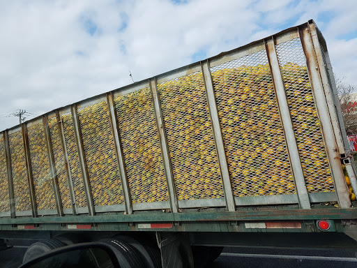 Convenience Store «Speedway», reviews and photos, 11002 FL-64, Bradenton, FL 34212, USA