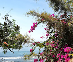 Bingin Beach photo