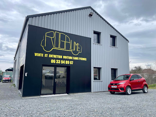 Photo 2 - Rats Claude