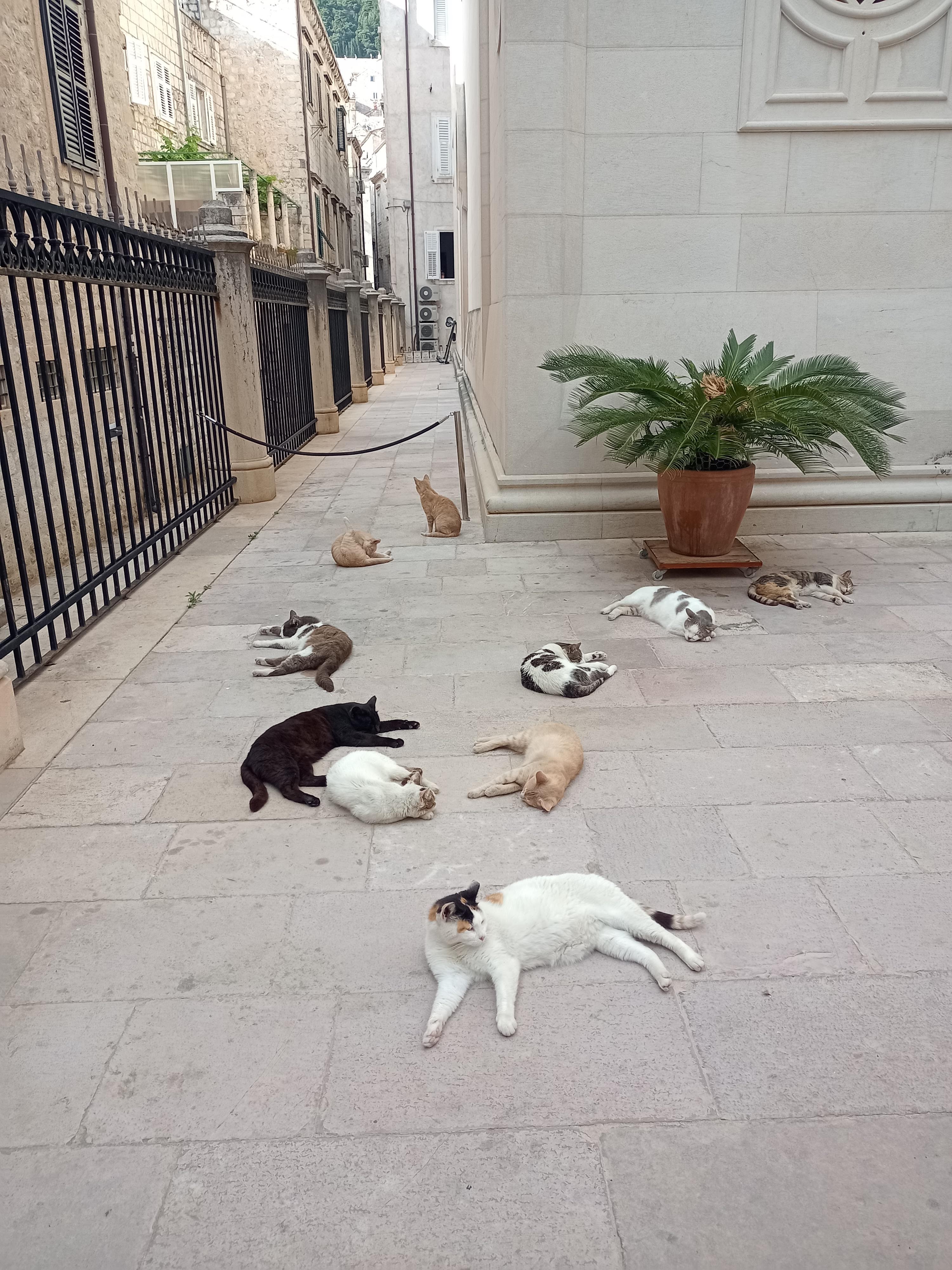 Photo n° 8 de l'avis de Marie-Hélène.N fait le 20/08/2022 à 20:06