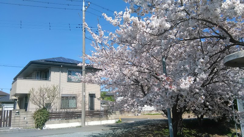 下奈良 桜の園