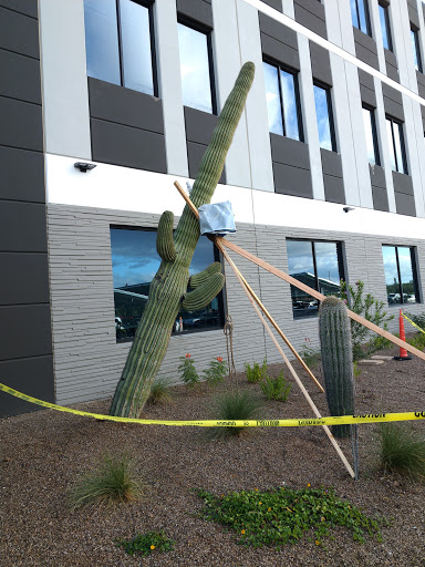 Insurance Agency «GEICO Corporate Office», reviews and photos