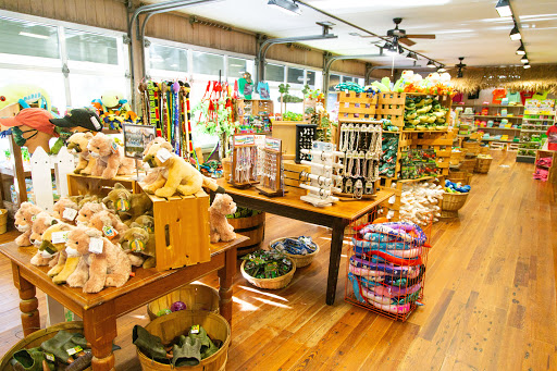 Zoo «Alligator Adventure», reviews and photos, 4604 Hwy 17 S, North Myrtle Beach, SC 29582, USA