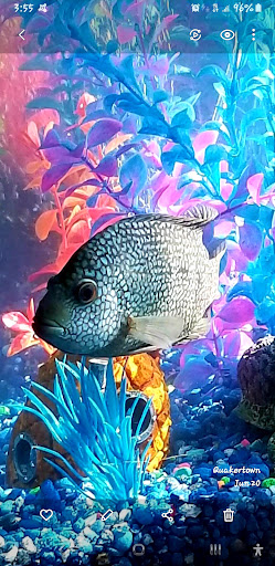 Pet Store «Fins Feathers Paws Claws», reviews and photos, 201 Station Rd, Quakertown, PA 18951, USA