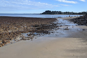 Balnarring Beach