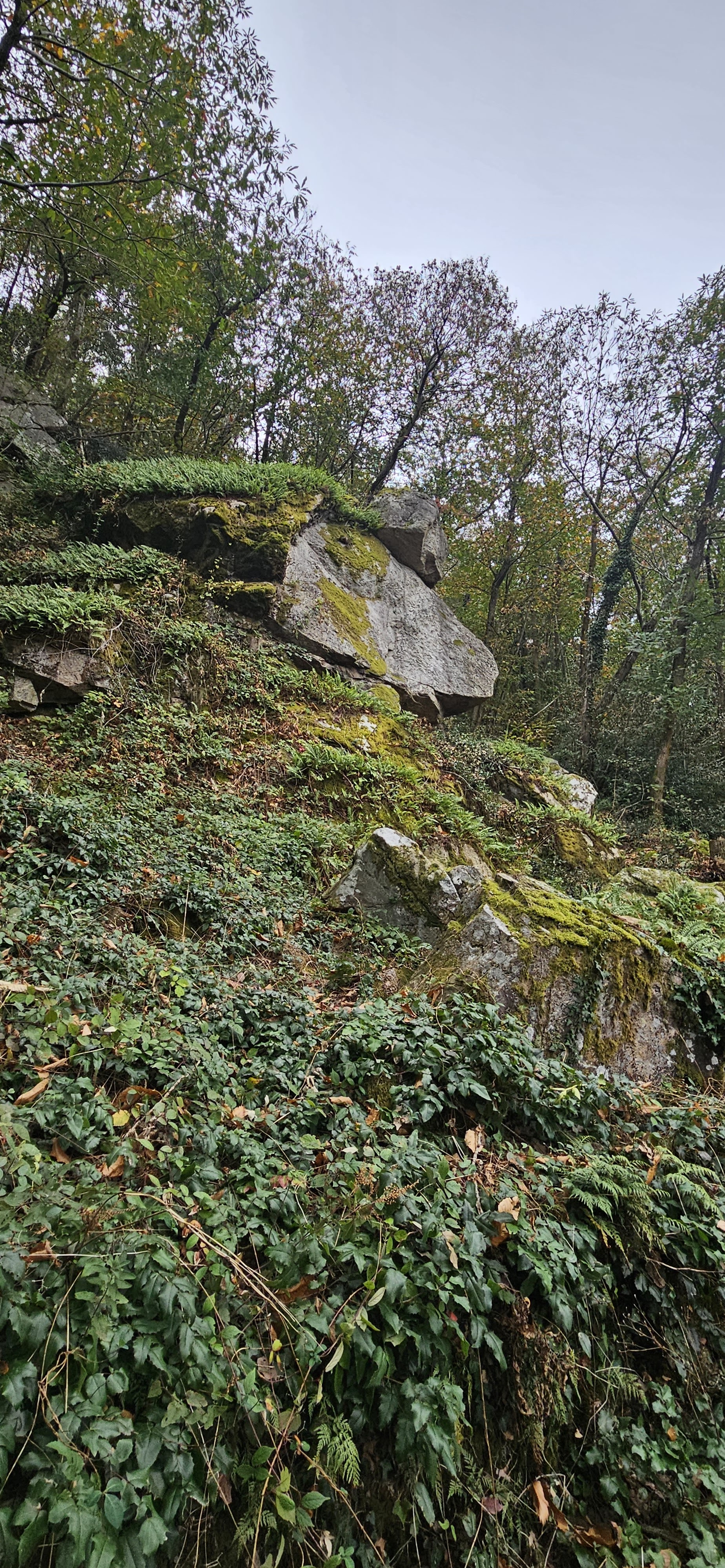 Photo n° 10 de l'avis de georges.o fait le 28/10/2023 à 17:26