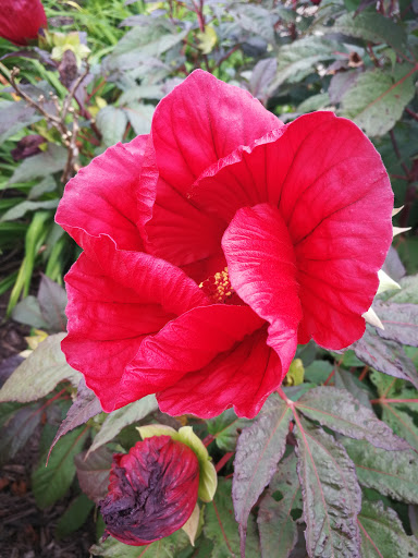 Park «Purgatory Creek Park Pavilion», reviews and photos, 13001 Technology Dr, Eden Prairie, MN 55344, USA