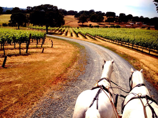 Winery «Naggiar Vineyards», reviews and photos, 18125 Rosemary Ln, Grass Valley, CA 95949, USA
