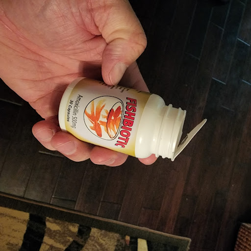 Pet Supply Store «Big Tex Feed & Pet Supply», reviews and photos, 7102 Cullen Blvd, Houston, TX 77021, USA