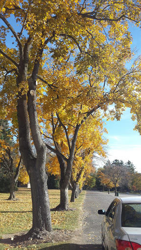 Amphitheater «American Fork Amphitheater», reviews and photos