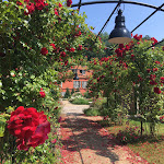 Photo n°2 de l'avis de Mathilde.e fait le 15/07/2021 à 17:01 sur le  WEISSENHAUS Private Nature Luxury Resort à Wangels