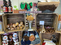 Pawsnickety Pets - Photo 4 - Car repair in Norfolk, VA, Chesapeake