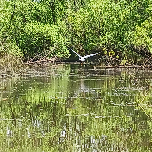 Canoe & Kayak Rental Service «Scappoose Bay Paddling Center», reviews and photos, 57420 Old Portland Rd, Warren, OR 97053, USA