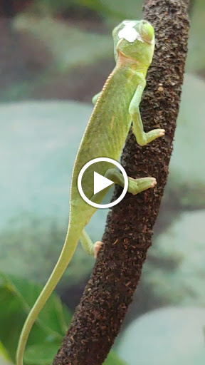 Pet Supply Store «Petco Animal Supplies», reviews and photos, 11 Cornerstone Square #200, Westford, MA 01886, USA